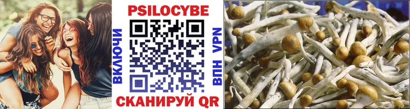 Галлюциногенные грибы Magic Shrooms  что такое   Шуя 
